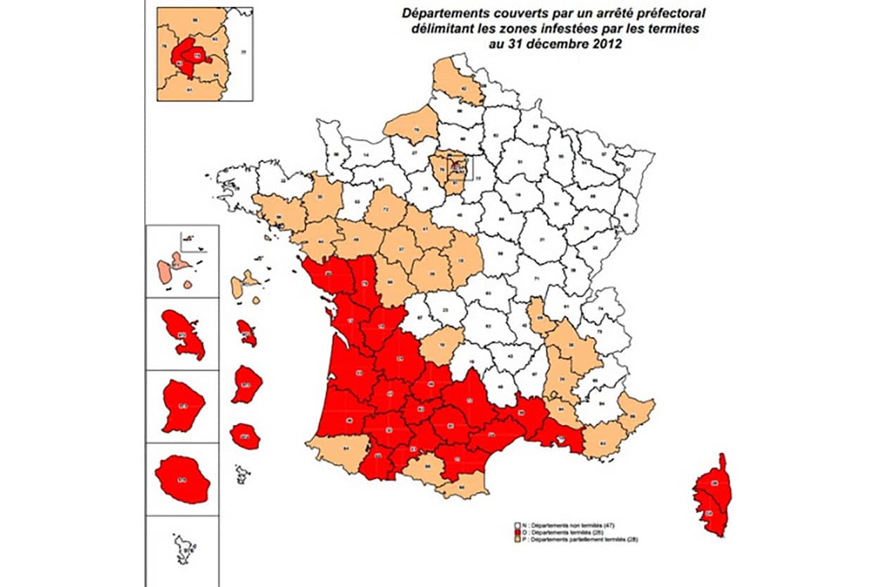 Diagnostic Termites : les départements français infestés par les termites